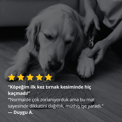 O'yalama Matı Köpek Ve Kedi İçin Yalama Matı Vakumlu Lickmat