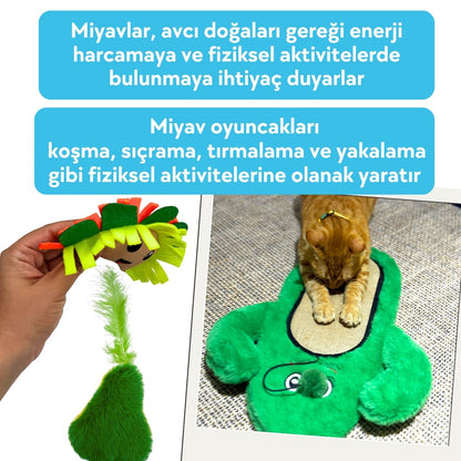 Miyav Meksika Temalı Kedi Oyuncak Seti | Hışırtılı Kaktüs Tırmalama, Çıngıraklı Taco ve Hışırtılı Avokado
