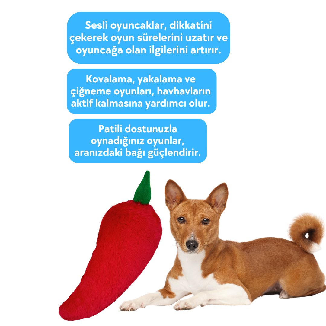 Havhav Tombik Biber Köpek Oyuncağı