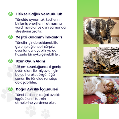 Gökkuşağı Desenli Uzun Kedi Tüneli 125 cm