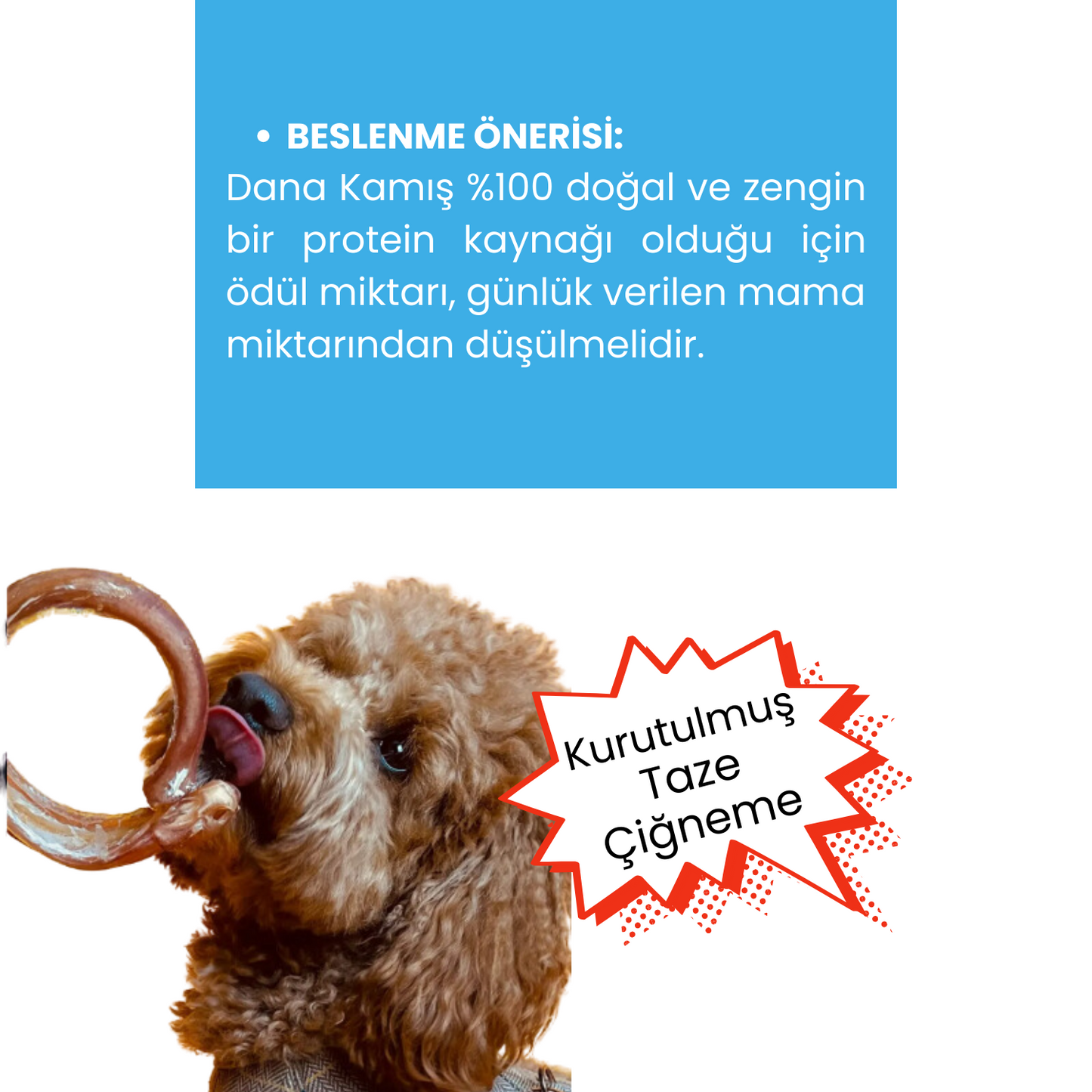 2 Adet Dana Halka Kamış Çiğneme Çubuğu Köpek Ödülü