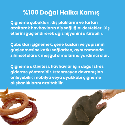 2 Adet Dana Halka Kamış Çiğneme Çubuğu Köpek Ödülü