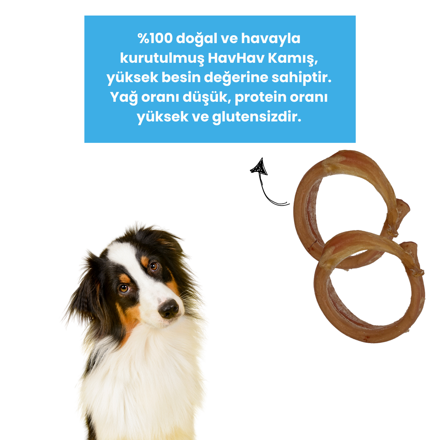 2 Adet Dana Halka Kamış Çiğneme Çubuğu Köpek Ödülü