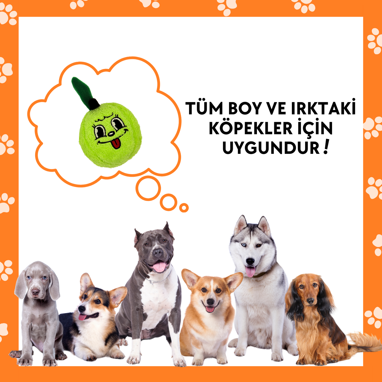 Haşarı Yeşil Elma Peluş Köpek Oyuncağı