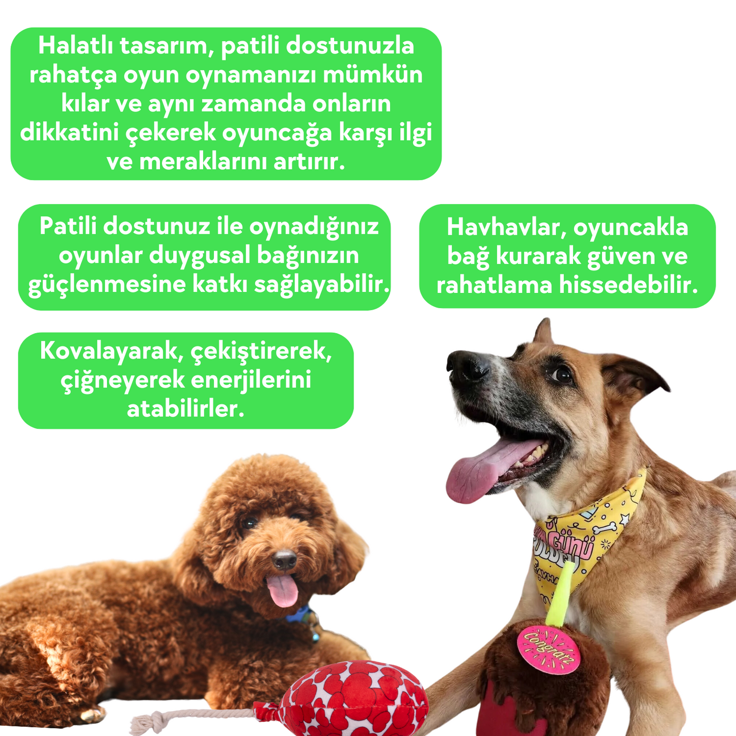 Doğum Günü Parti Kutusu Köpek Oyuncak Seti