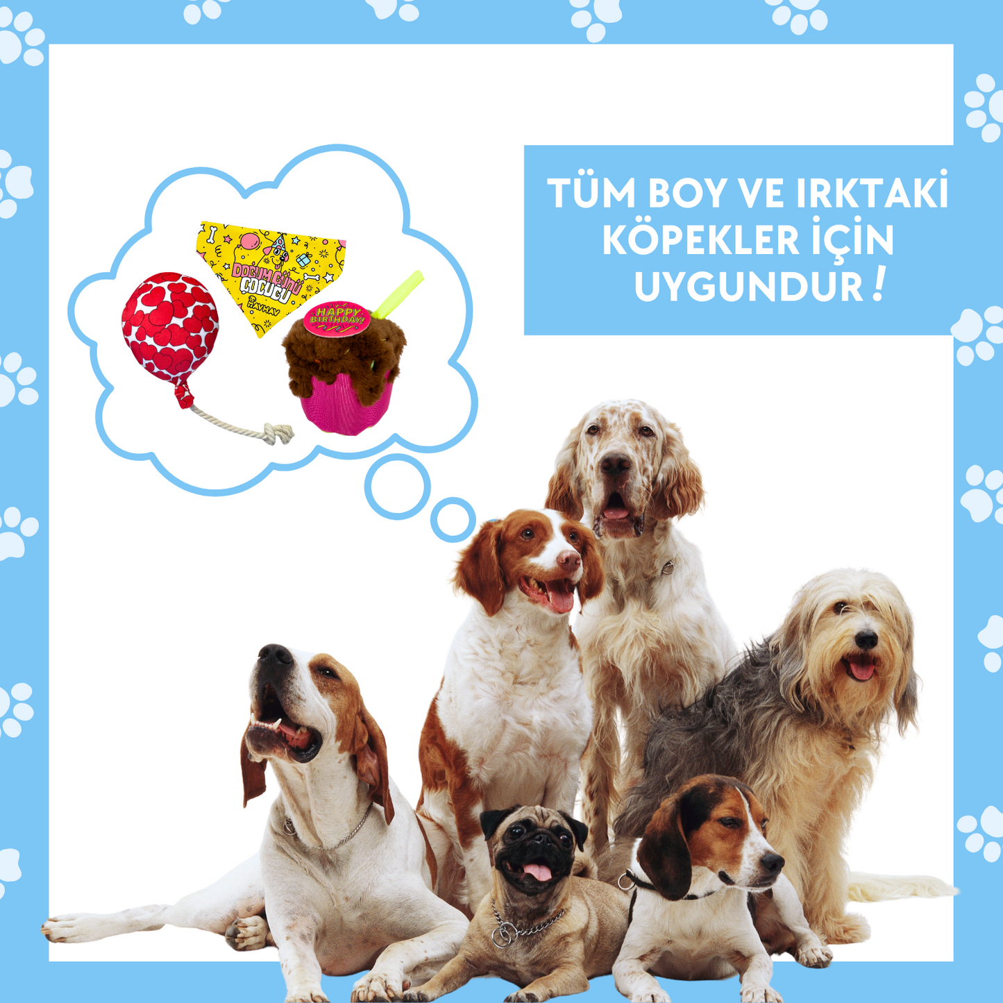 Doğum Günü Parti Kutusu Köpek Oyuncak Seti