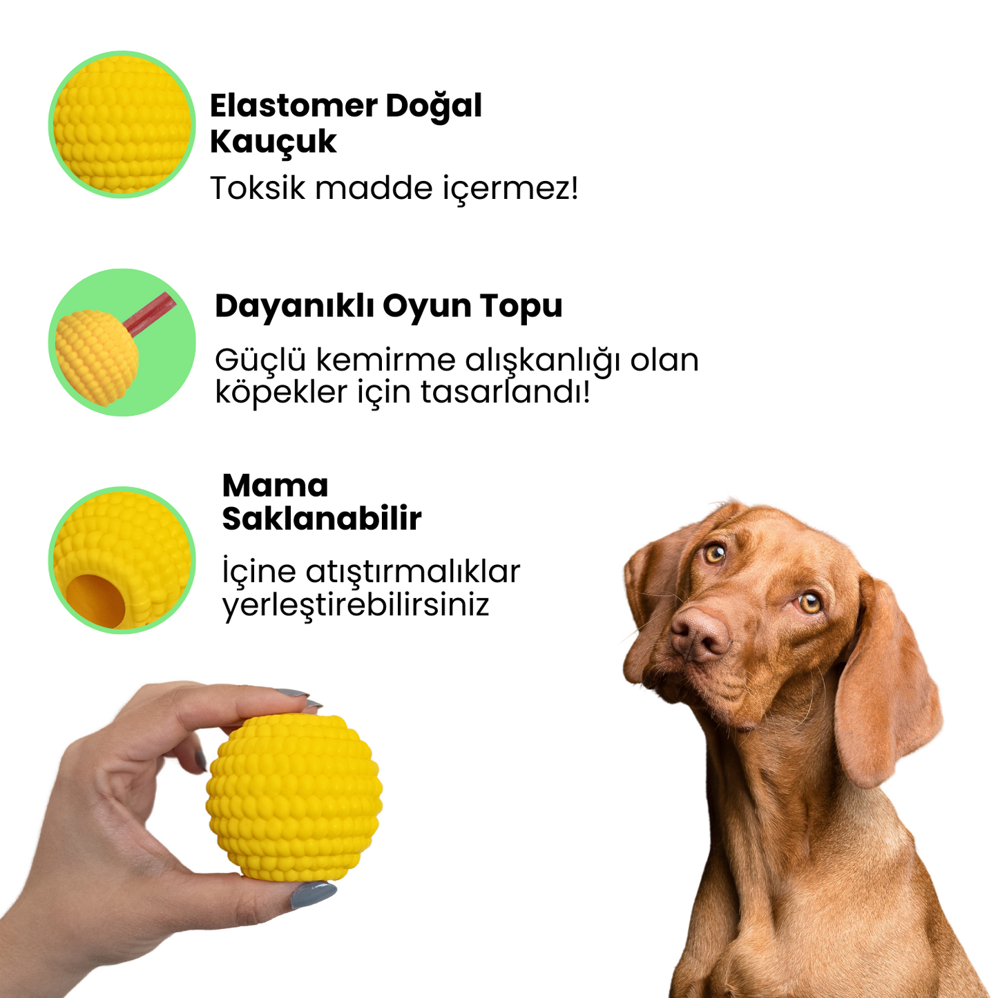 Doğal Kauçuk Mama Saklamalı Köpek Oyun Topu