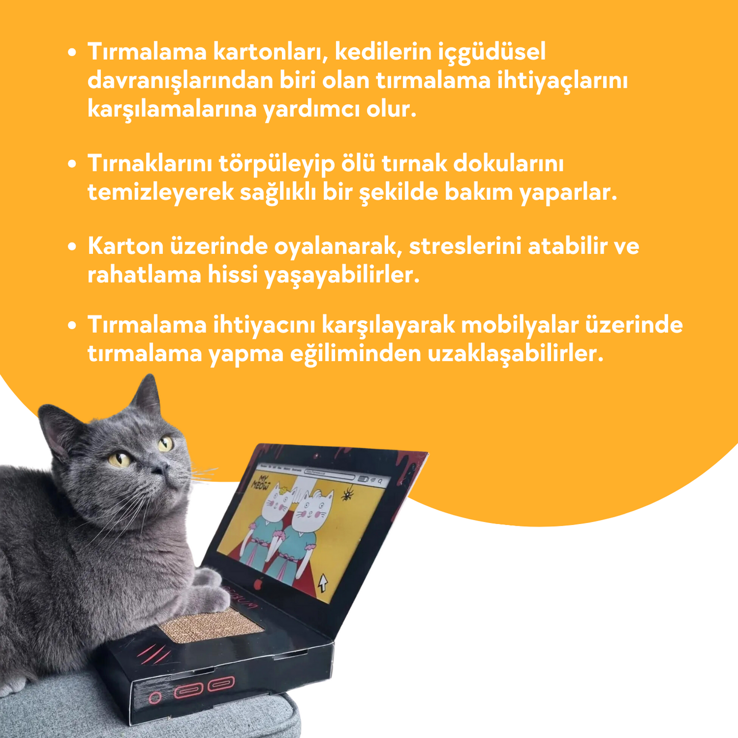 Laptop Tasarımlı Kedi Tırmalama Kartonu 30 cm