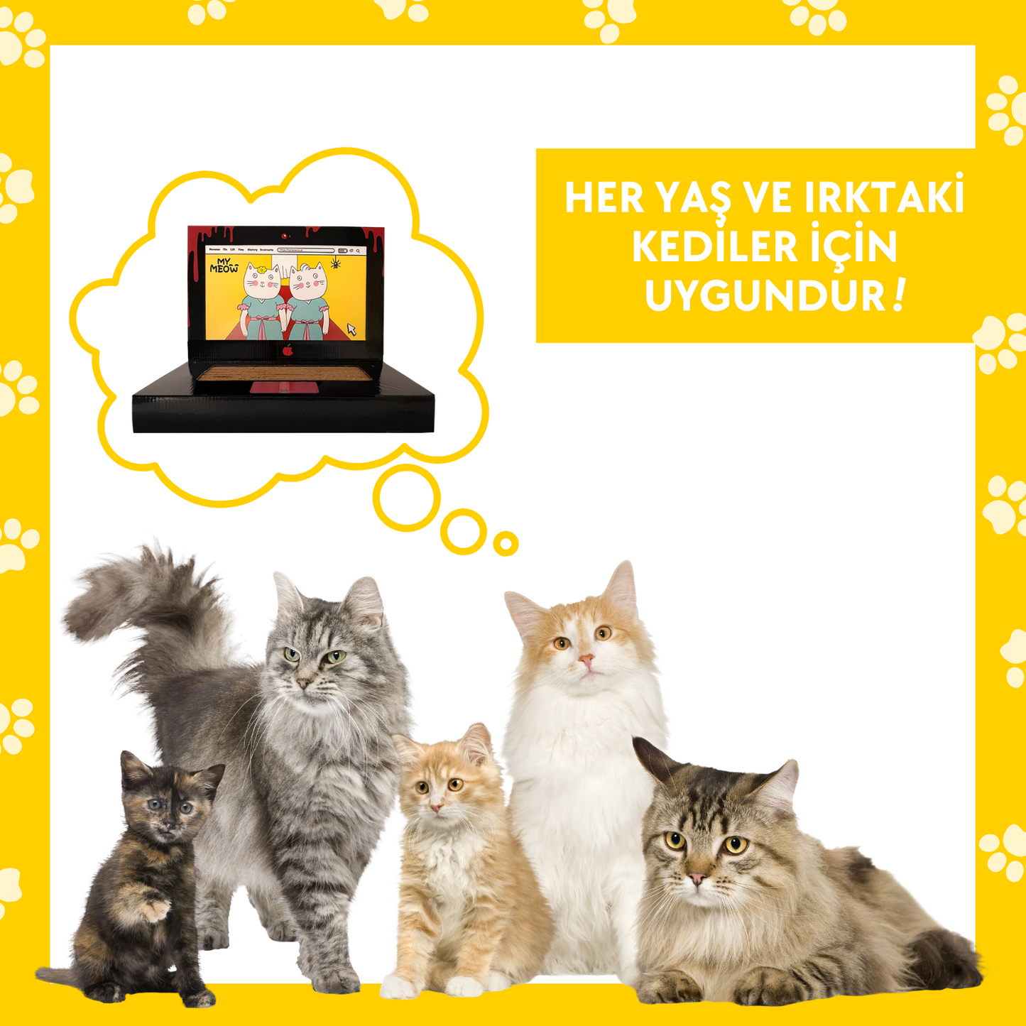 Laptop Tasarımlı Kedi Tırmalama Kartonu 30 cm