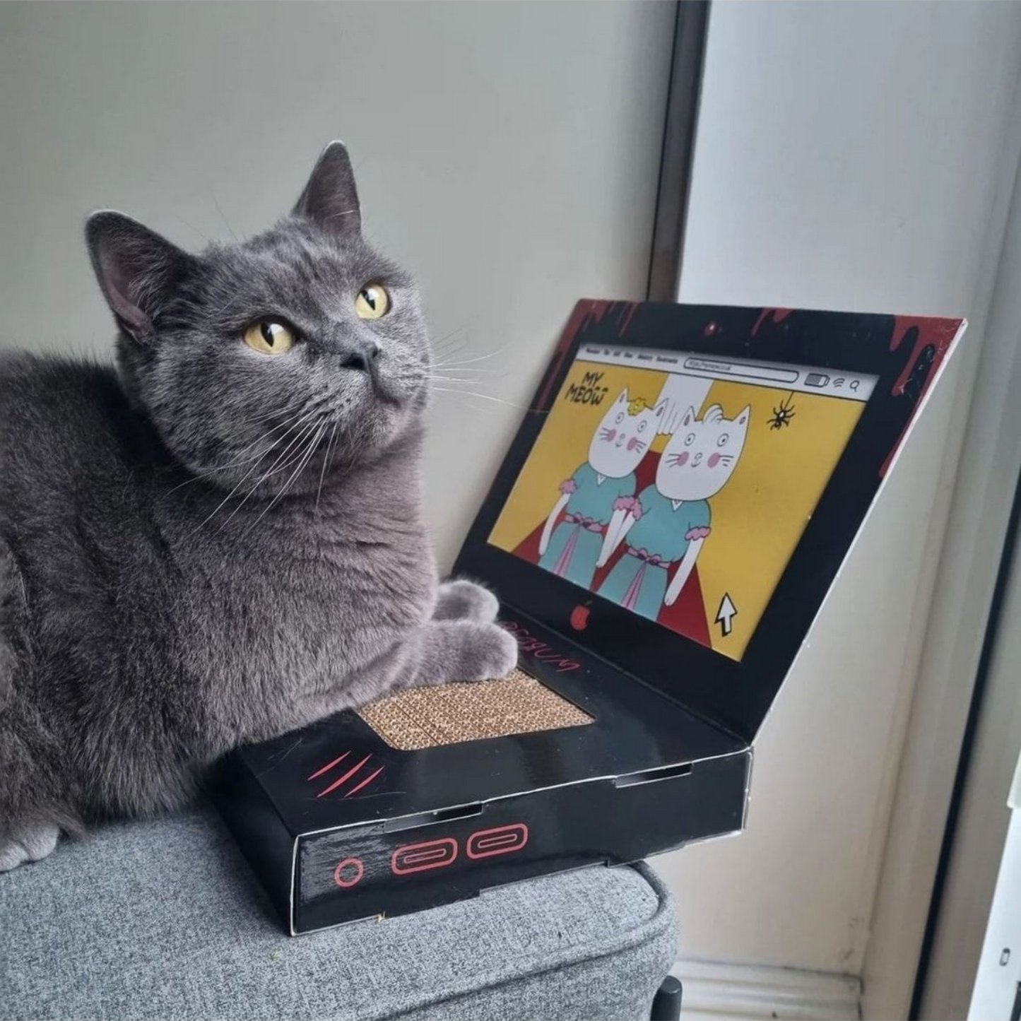 Laptop Tasarımlı Kedi Tırmalama Kartonu 30 cm