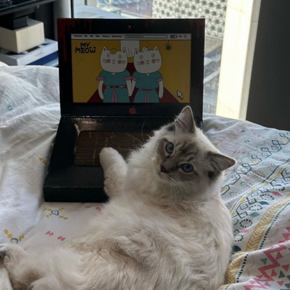 Laptop Tasarımlı Kedi Tırmalama Kartonu 30 cm