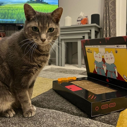 Laptop Tasarımlı Kedi Tırmalama Kartonu 30 cm