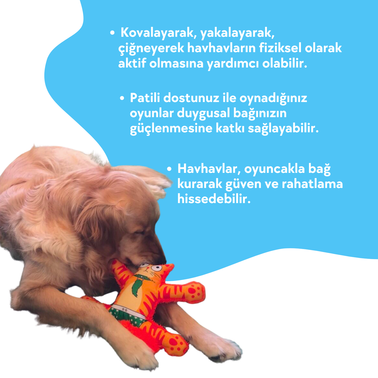 Mihav Sesli Peluş Köpek Oyuncağı