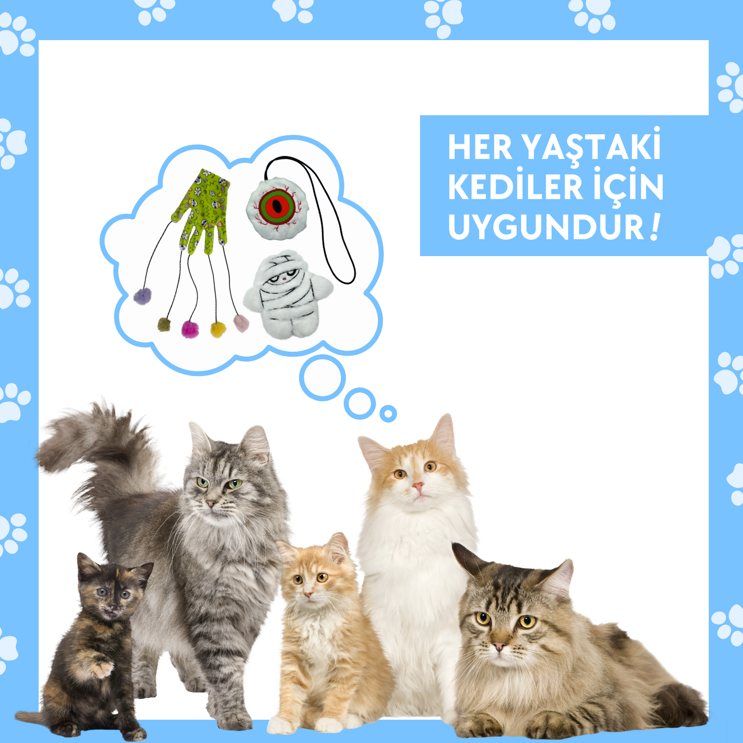 Kedi Aktivite Oyuncak Seti: Ponponlu Sihirli Eldiven, Lastikli Oyun Oltası Ve Peluş Mumya