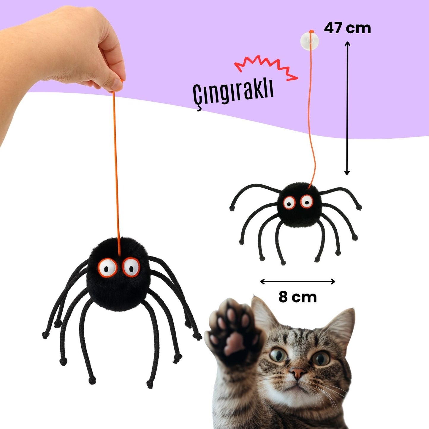 Cadılar Bayramı Temalı Kedi Oyuncak Seti | Hışırtılı Yarasa, Balkabağı Minder ve Örümcek Kedi Oltası