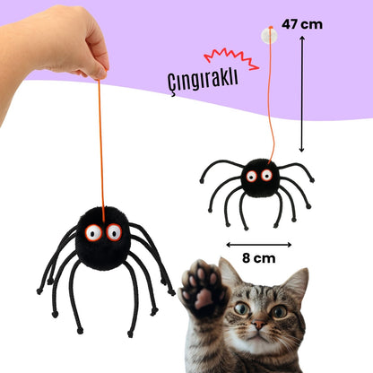 Cadılar Bayramı Temalı Kedi Oyuncak Seti | Hışırtılı Yarasa, Balkabağı Minder ve Örümcek Kedi Oltası