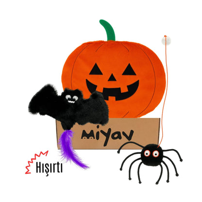 Cadılar Bayramı Temalı Kedi Oyuncak Seti | Hışırtılı Yarasa, Balkabağı Minder ve Örümcek Kedi Oltası