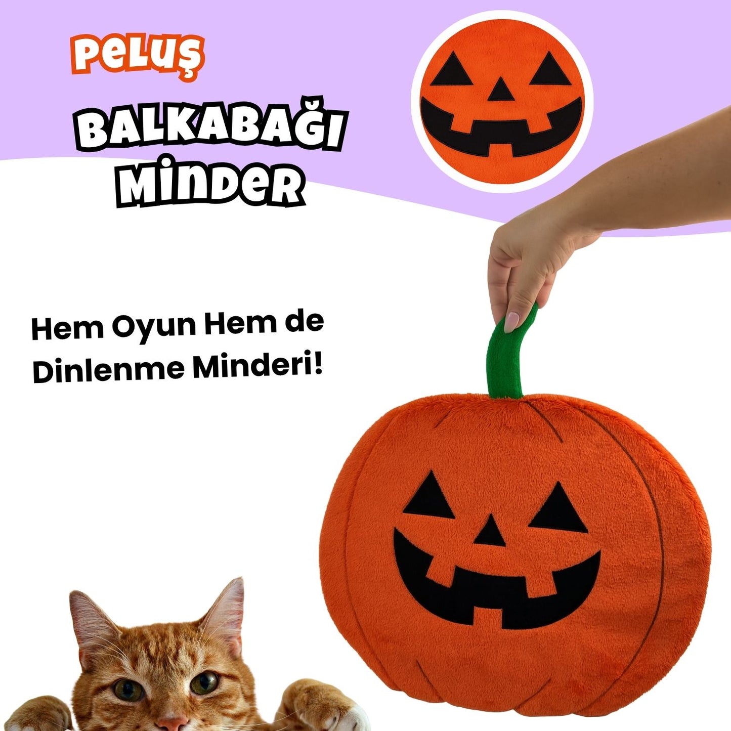 Cadılar Bayramı Temalı Kedi Oyuncak Seti | Hışırtılı Yarasa, Balkabağı Minder ve Örümcek Kedi Oltası