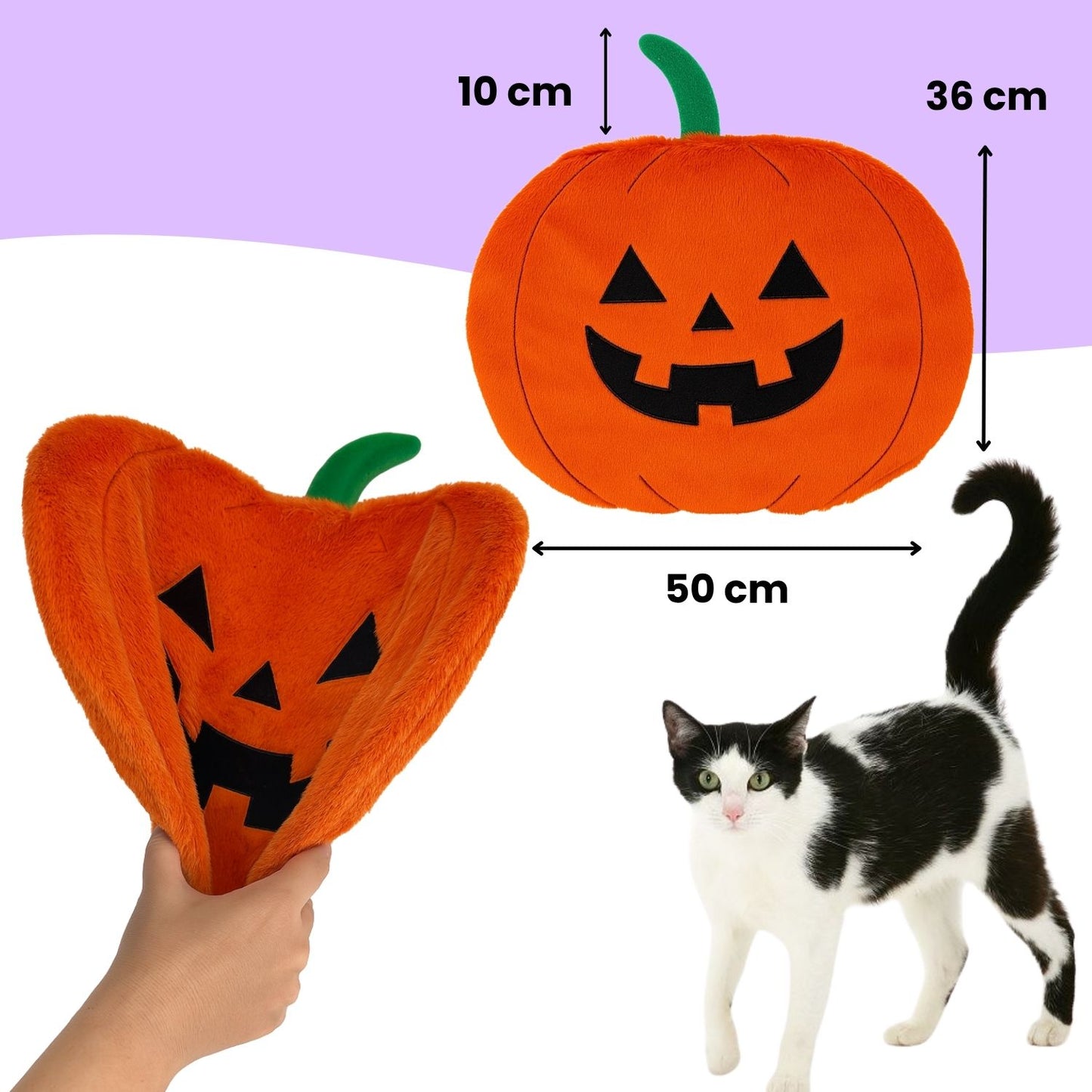 Cadılar Bayramı Temalı Kedi Oyuncak Seti | Hışırtılı Yarasa, Balkabağı Minder ve Örümcek Kedi Oltası