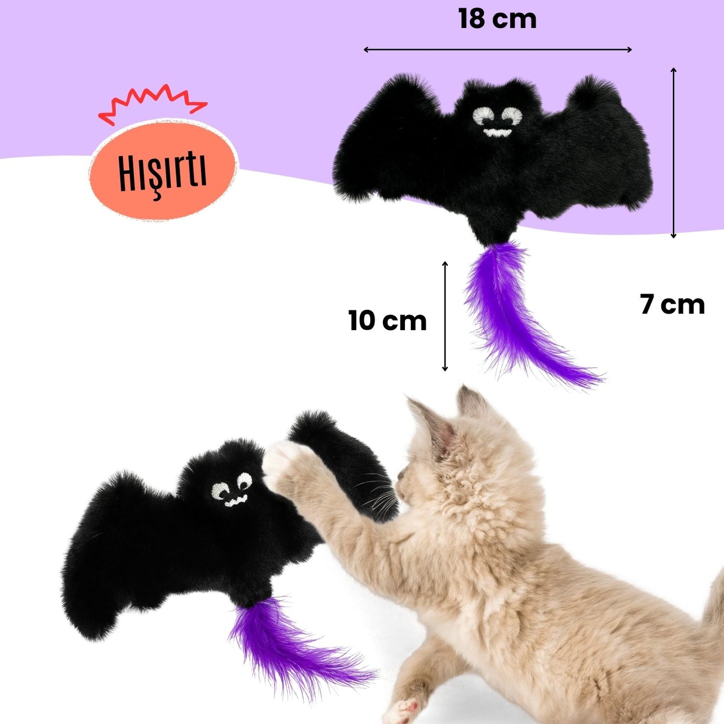 Cadılar Bayramı Temalı Kedi Oyuncak Seti | Hışırtılı Yarasa, Balkabağı Minder ve Örümcek Kedi Oltası