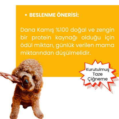 2 Adet Dana Örgü Kamış Çiğneme Çubuğu Köpek Ödülü