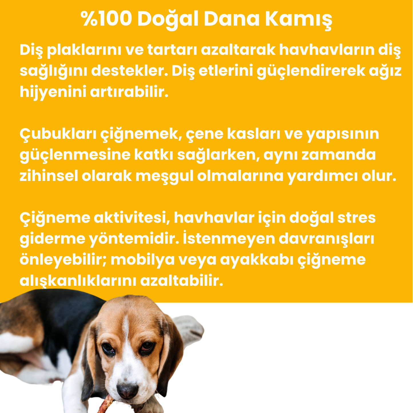 2 Adet Dana Örgü Kamış Çiğneme Çubuğu Köpek Ödülü