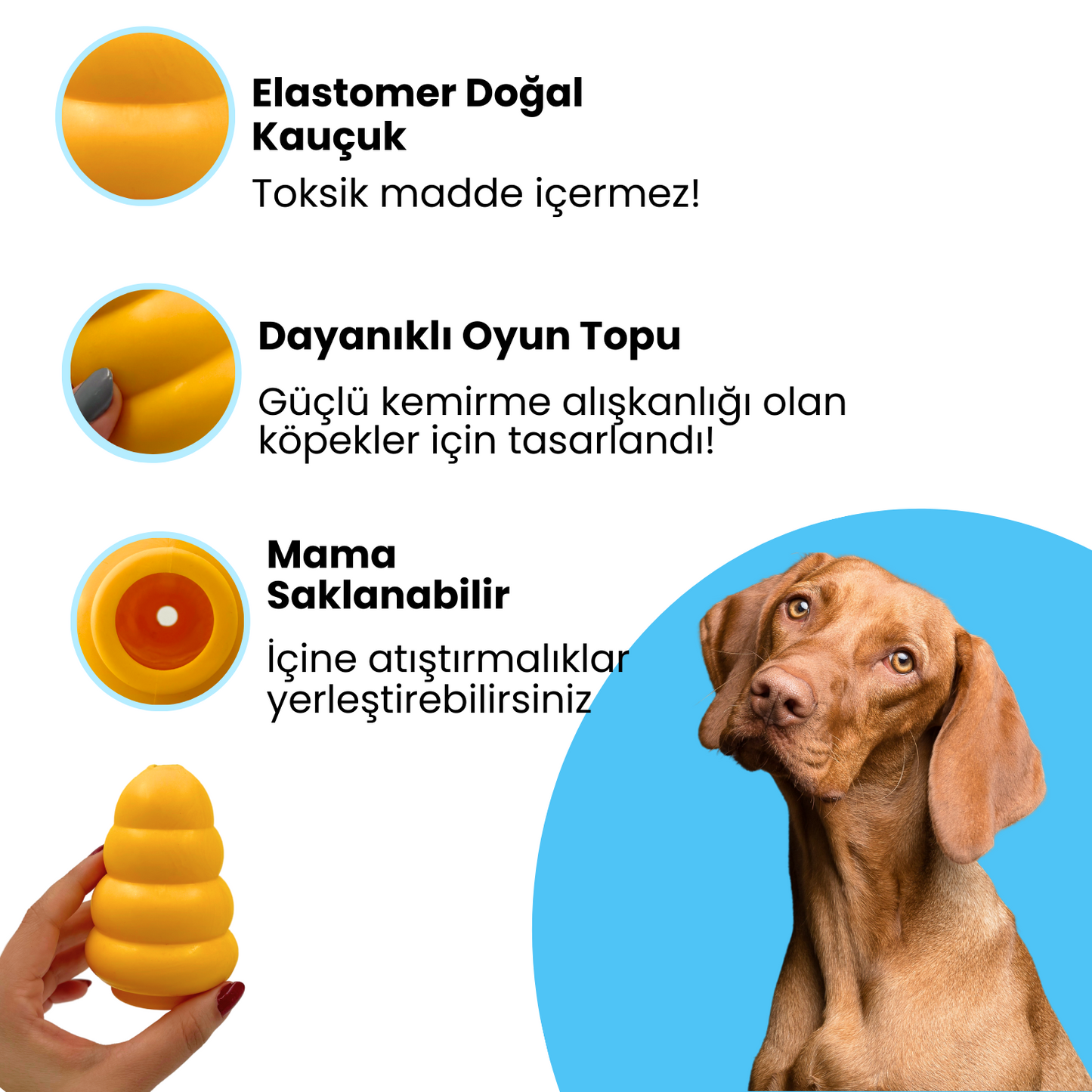 HavHav PizzaHav Köpek Oyuncak Seti