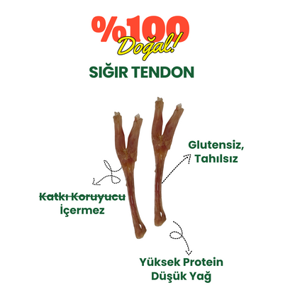 2 Adet Sığır Akciğer Köpek Ödül Maması ve 2 Adet Sığır Tendon Çiğneme Çubuğu