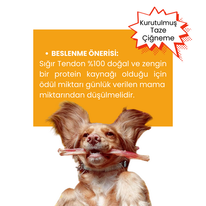 2 Adet Sığır Akciğer Köpek Ödül Maması ve 2 Adet Sığır Tendon Çiğneme Çubuğu