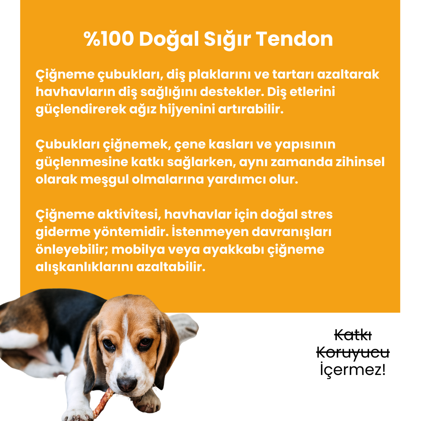 2 Adet Sığır Akciğer Köpek Ödül Maması ve 2 Adet Sığır Tendon Çiğneme Çubuğu