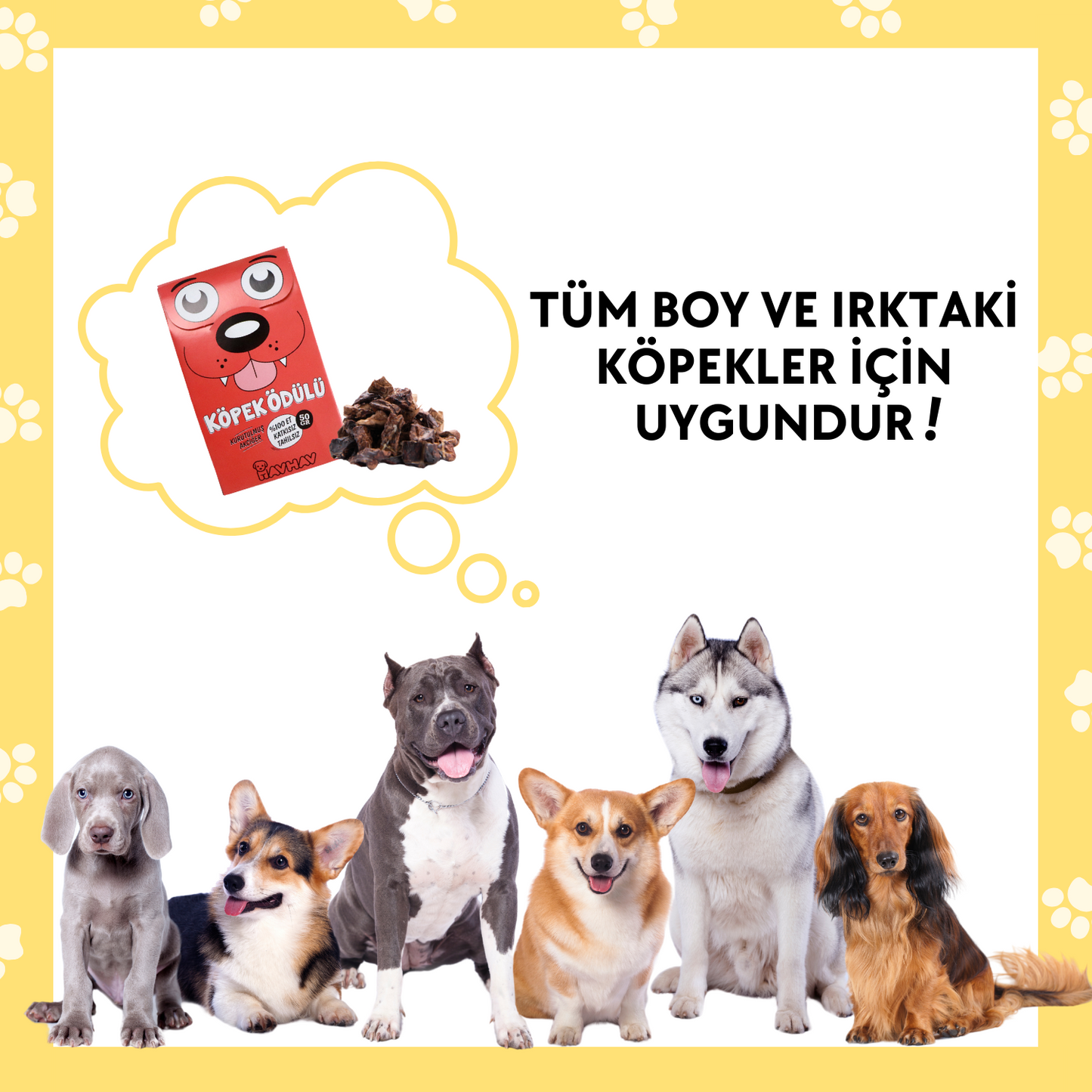 4 Adet Sığır Akciğer Doğal İçerikli Köpek Ödül Maması