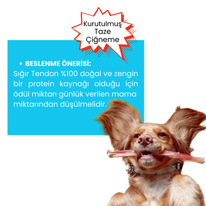 2 Adet Sığır Çerez Köpek Ödül Maması ve 2 Adet Sığır Tendon Çiğneme Çubuğu