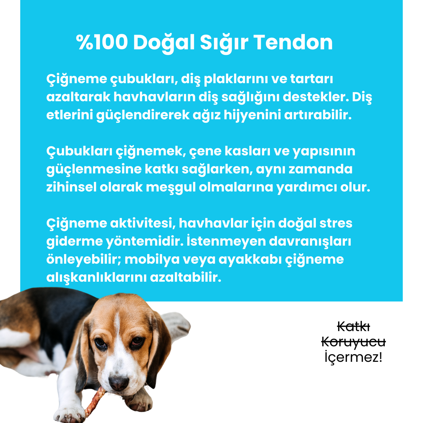 2 Adet Sığır Çerez Köpek Ödül Maması ve 2 Adet Sığır Tendon Çiğneme Çubuğu