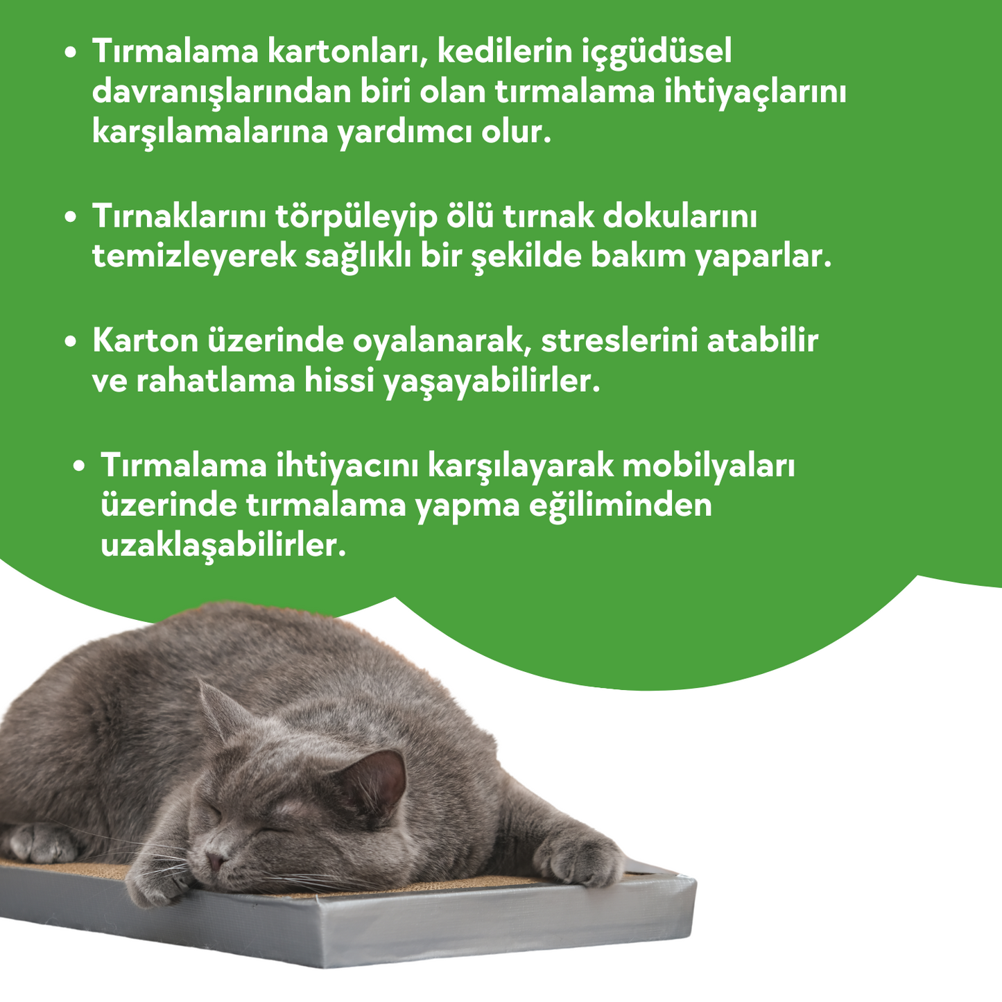 4 Adet Kedi Tırmalama Kartonu 30 cm