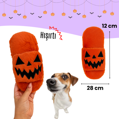 Havhav Cadılar Bayramı Temalı Köpek Oyuncak Seti | Hışırtılı Peluş Terlik, Peluş Örümcek ve Göz Oyun Topu