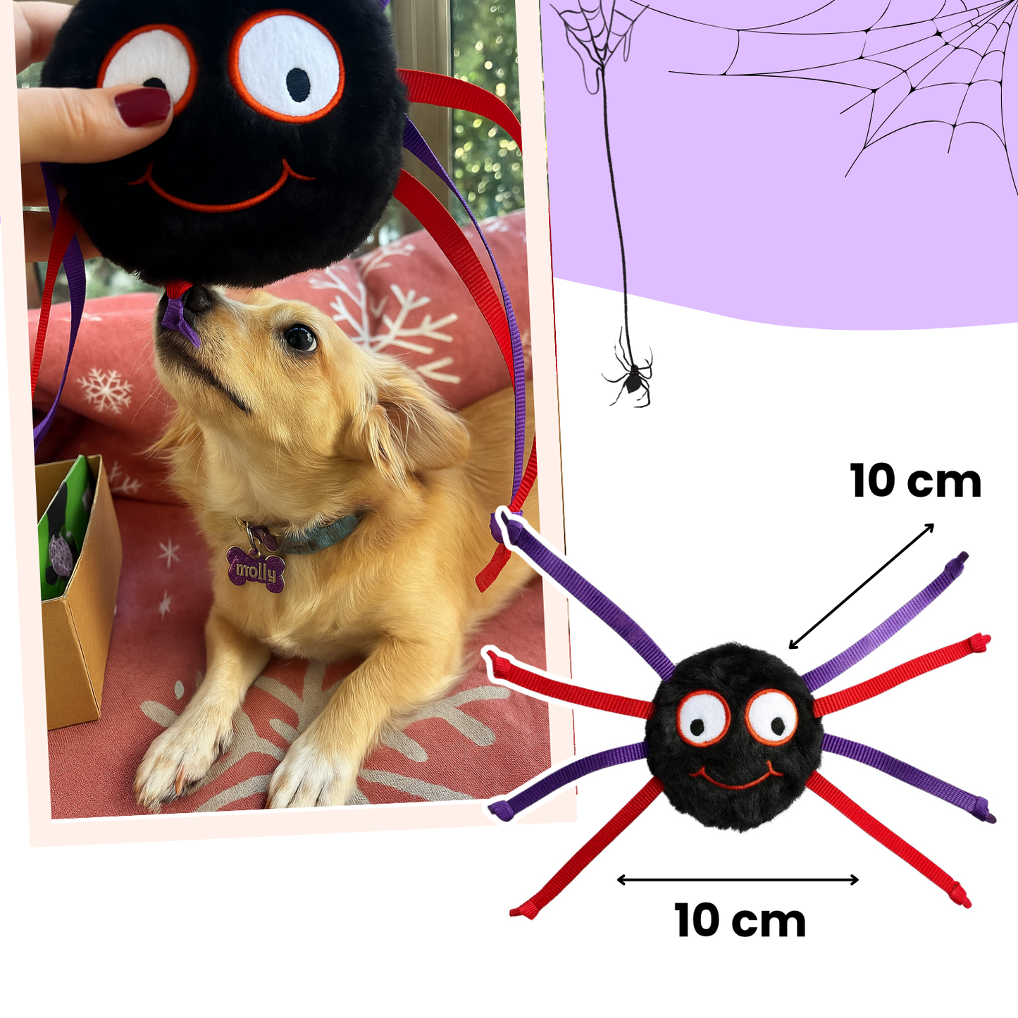 Havhav Cadılar Bayramı Temalı Köpek Oyuncak Seti | Hışırtılı Peluş Terlik, Peluş Örümcek ve Göz Oyun Topu