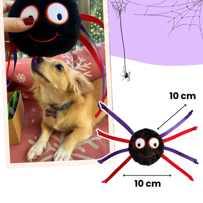 Havhav Cadılar Bayramı Temalı Köpek Oyuncak Seti | Hışırtılı Peluş Terlik, Peluş Örümcek ve Göz Oyun Topu