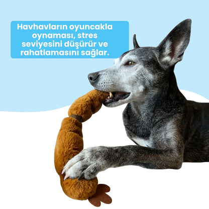 Peluş Sosis Köpek Oyuncağı | 65 CM Dayanıklı Çekiştirme Oyuncağı