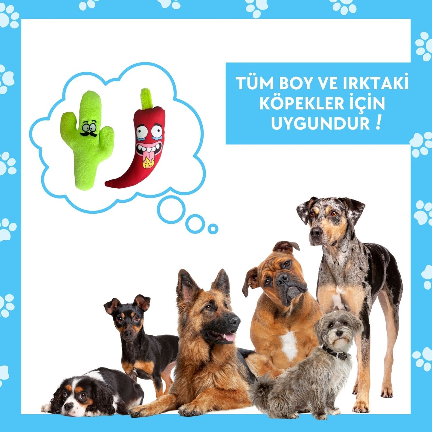 Meksika Temalı Köpek Oyuncak Seti Peluş Kaktüs ve Peluş Biber Ses Çıkaran Köpek Oyuncakları