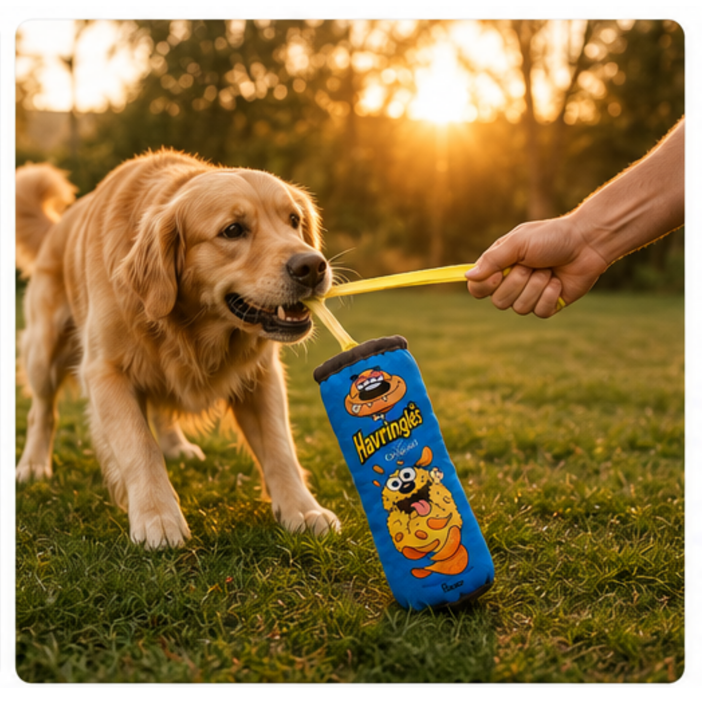 Köpekler Için Çekiştirme HAVringles Çekiştirme Halatlı Peluş Köpek Oyuncağı