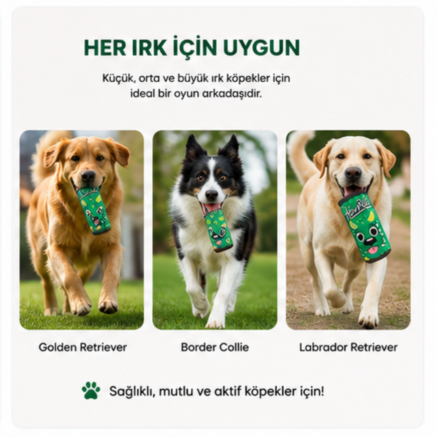 HAVrite Peluş Kutu İçecek Köpek Oyuncağı | Vikvik Sesli, At-Getir Köpek Oyuncağı