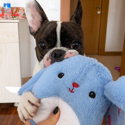 Peluş Tavşan Köpek Oyuncağı | Hışırtı Sesli Köpek Oyun Arkadaşı