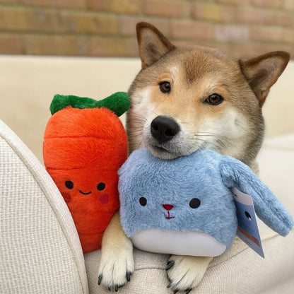 Peluş Tavşan Köpek Oyuncağı | Hışırtı Sesli Köpek Oyun Arkadaşı