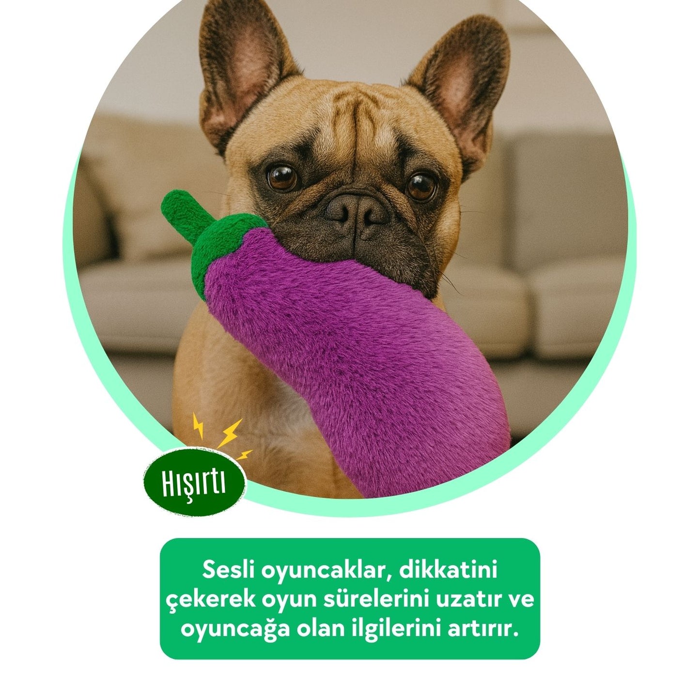 Tombik Patlıcan Peluş Köpek Oyuncağı | Hışırtı Sesli Mor Köpek Oyun Uyku Arkadaşı