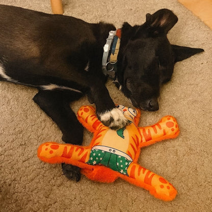 Mihav Sesli Köpek Oyuncağı | Vikvik ve Hışırtılı Kedi Şekilli Aktivite Oyuncağı