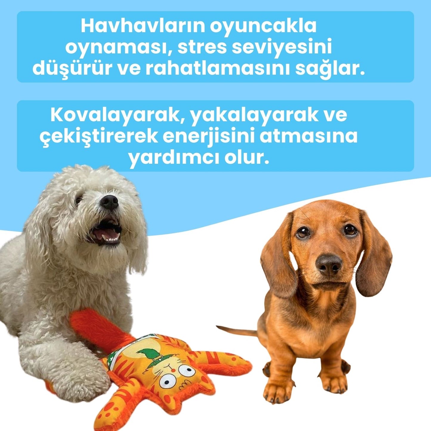 Mihav Sesli Köpek Oyuncağı | Vikvik ve Hışırtılı Kedi Şekilli Aktivite Oyuncağı