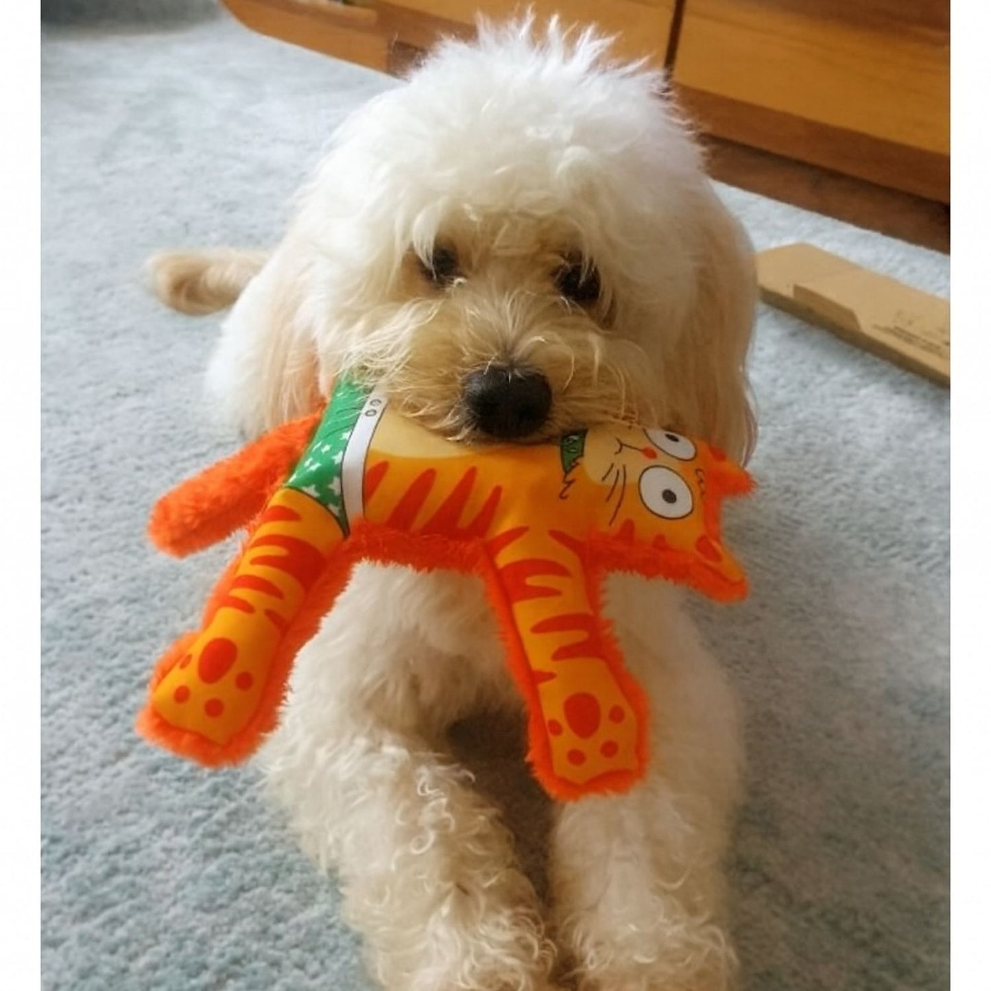 Mihav Sesli Köpek Oyuncağı | Vikvik ve Hışırtılı Kedi Şekilli Aktivite Oyuncağı