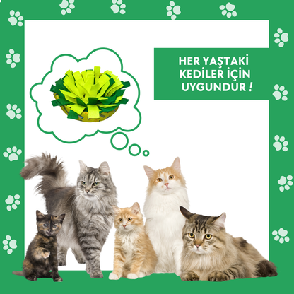 Meowsalad Mama Saklamalı Koklama Matı Kedi ve Küçük/Orta Irk Köpek Zeka Oyuncağı