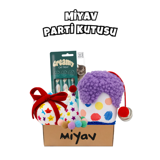 Kedi Parti Kutusu 4’lü Set | Parti Şapkası, Peluş Pasta, Peluş Hediye Kutusu ve Ödül Maması