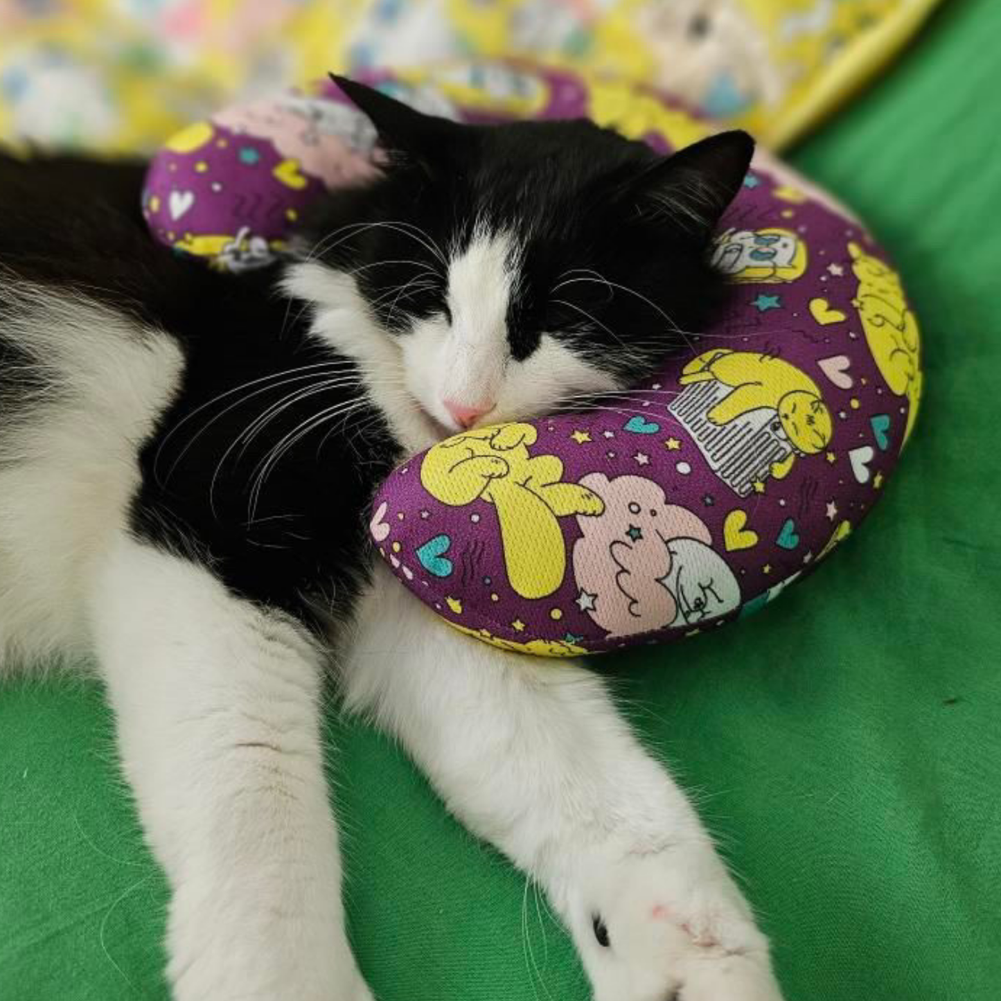 PisiPisiesta Kedi Yastığı Mor Renkli Kedi Sarılma ve Uyku Minderi 30 cm